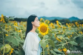 8.3-8.9：我妈病重的第一周，我都经历了什么图片
