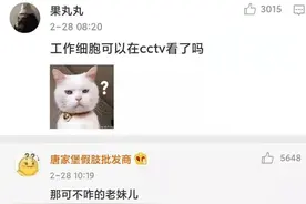 央视时隔14年首次播出日本动漫，满口得劲儿的东北话图片
