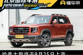 新车｜哈弗大狗将于北京车展开幕前夜上市 预售12.5万起图片