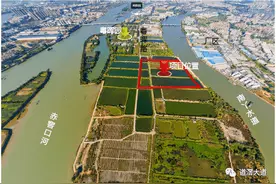 顺丰科技创新总部项目新进展！道滘斥资6500万建路网图片