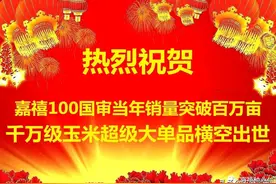 玉米种它，满意一百！国审当年销量破百万亩，主流媒体纷纷报道！图片