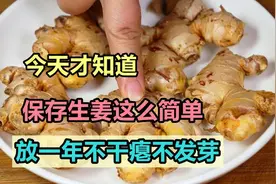今天才知道，保存生姜这么简单，教你几招，放一年不干瘪不发芽图片