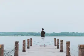 惊人的“懒蚂蚁效应”：越勤奋，越平庸？图片