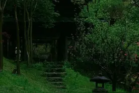 选择适合自己的生活方式图片