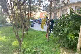 四川一家三口骑电动车穷游被困巴彦淖尔图片