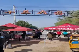齐齐哈尔市富裕龙安桥镇兴裕村：开展整治集市行动，提高村民幸福感图片