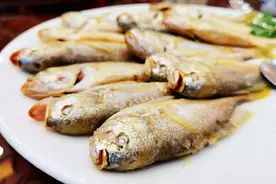 「美食」跟着食家去打卡！广州热门潮菜探店图片