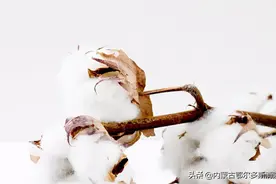 33吨新疆棉花运往湖南途中起火，消防员奋战超12小时图片
