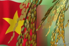 越南突然又恢复对华粮食出口，背后原因：太意外，中国粮食很充足图片