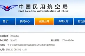 国际航班大调整！超详细的航班计划表看这里图片