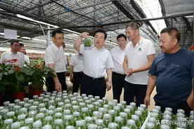 抓好一区一谷一高地一城一河一机场建设 在对接北京联动雄安中当先锋作表率走在前图片