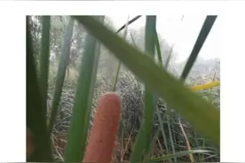 地球村故事图片