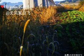 用十三张照片，教您设置前景，增加画面的五方面意境图片