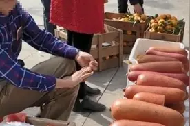 大爷摆摊卖它，远看以为是香肠，走近一瞧乐坏了，我果断买了3根图片