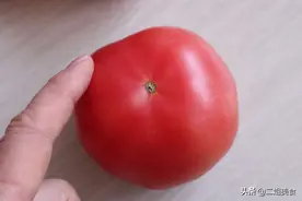 买西红柿，要选母的，汁水多还不发涩，教您一招，保准一挑一个准图片
