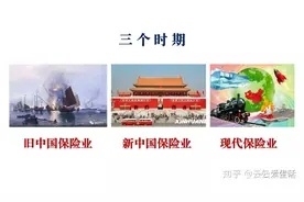 《中国保险业发展史》之中国保险企业的起落历史图片