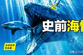 5种比巨齿鲨还恐怖的海怪，背后隐藏着一个人类起源的故事图片