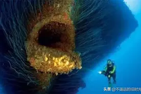 25张让人触发海洋恐惧症的惊悚照片，看完了再也不敢下水了！图片