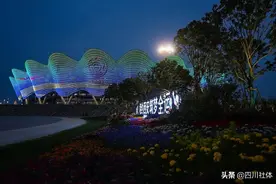 全运会开幕，全场高燃！这一幕幕冲上热搜图片
