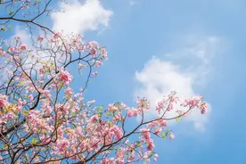 三月三，祈平安！致我牵挂的人图片