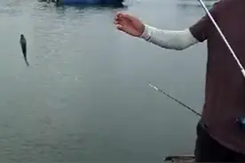 海边闸口钓红友鱼图片