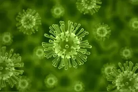 最新研究表明：新冠病毒已产生变异，传播性存在明显差异图片