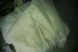 开学在即，该拿什么拯救你，我发霉的被子图片