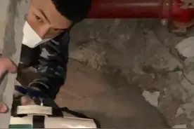 职业找猫师？杨超越丢了10天的猫就是靠它图片