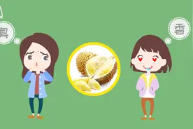 榴莲为什么闻起来臭臭的？