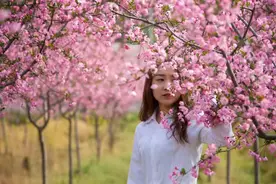 信阳发布“春季九大赏花线路”图片