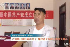 成安东阳寺村：土地托管新模式 开辟乡村振兴新途径图片