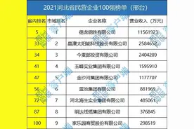 邢台9家企业入围2021年河北民营企业100强，看看有没有你所在企业图片