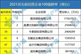 邢台9家企业入围2021年河北民营企业100强，看看有没有你所在企业图片