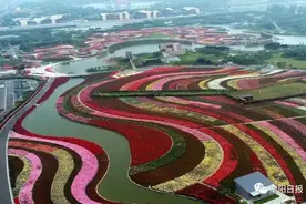 定了！今年南阳月季花会4月29日开幕！精彩活动看这里……图片