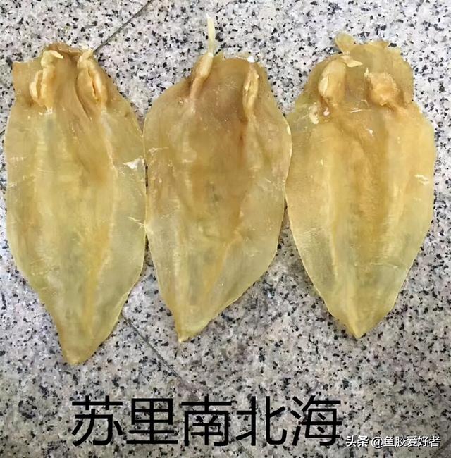 鱼胶的价钱 2026年鱼胶多少钱