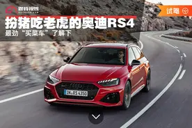扮猪吃老虎的奥迪RS4 最劲“买菜车”了解下图片