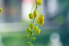 散文：人生低谷，熬过去就好了图片