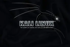 如何实现黑客系统Kali linux系统下的U盘启动（小白指导）图片