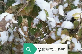 等闲变却故人心（之十四）图片