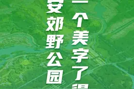 H5丨“云游”雄安郊野公园，怎一个美字了得！图片