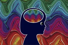 藏文科普 | 你看到、听到的世界都是真实的吗？图片