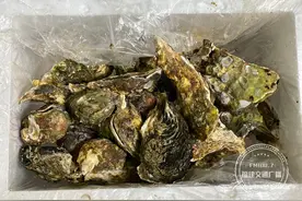 网上买的生蚝，竟含有大量蛆虫？顾客说吃吐了图片