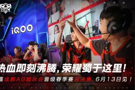 KPL总决赛AG对战TS，一诺暖阳再相见，哈欠buff对战工资体系图片