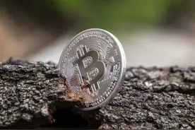 比特币，主流币，山寨币怎么个说法呢？图片