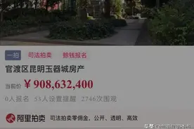 昆明玉器城710套房产拍卖暂缓 接盘方属实难寻图片