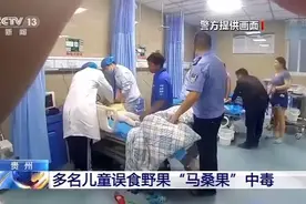 路边野果不要采！多名儿童误食这种野果中毒图片