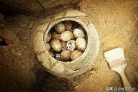春秋时期墓陵挖出2500年前的鸡蛋，任何物品都能成为化石吗？图片