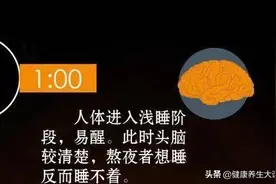 人体24小时使用手册(珍藏版)图片