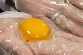 动物科学：最近实验的收获图片