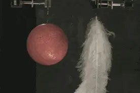 一起来看看神奇的物理动图，有趣长见识图片